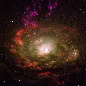 The Circinus Galaxy, a type II Seyfert galaxy in which an ionization cone has been observed