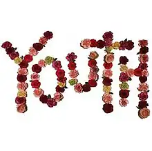 Roses arranged in the shape of letters, which spell out 'Youth'