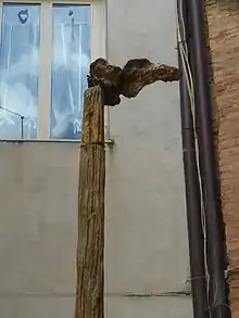 Fountain of an owlet on a tree banch