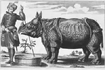 Clara, the rhinoceros, that travelled throughout Europe in the mid-18th century. Engraving by Elias Baeck from 1746.