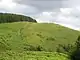 Clawdd Mawr earthwork