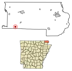 Location of Peach Orchard in Clay County, Arkansas.