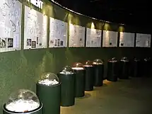 Educational fossil display.