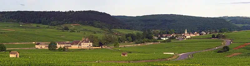 Panorama of the Vineyards