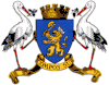 Coat of arms of Hîncești