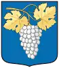 Coat of arms of Szin