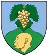 Coat of arms of Vértesszőlős