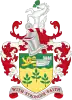 Coat of arms of Borough of Ashford