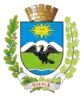 Coat of arms of Ozyorsk