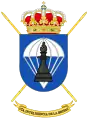 Coat of Arms of the Parachute Brigade Intelligence Company (CIAINTPAC)