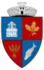 Coat of arms of Gruiu