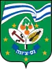 Official logo of Ness Ziona