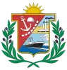 Coat of arms of Ilo