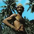 Coconut plantation worker Seychelles