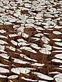 Coconuts arrangement in kerala