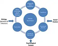 A chart that shows fatigue and other symptoms, cognitions, emotional distress, anxiety and depression, frustration, rest, and symptom focusing as factors perpetuating ME/CFS