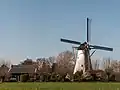 Windmill: de Oude Molen