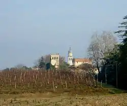 View with campanile and Lucheschi Castle
