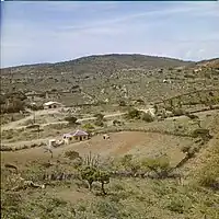 View of the landscape seen from Jamanota (1964).
