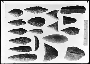 Collection of flint stones, photograph by Hippolyte Müller, early 20th century