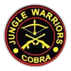 CoBRA Insignia