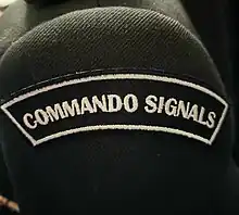 Commando Signals Insignia on Service Dress