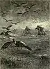 Argentinian gauchos lassoing a condor, 1895.
