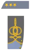 Colonel (Infantry shown)