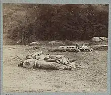 Confederate Dead at the Rose Woods