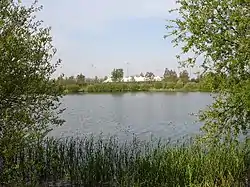 Conningbrook Lakes Country Park