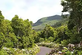 A roadway in the foothills of Santa Bárbara in the parish of Serreta