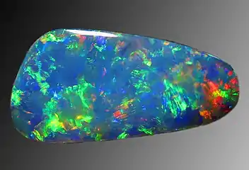 Opal can contain protist microfossils of diatoms, radiolarians, silicoflagellates and ebridians