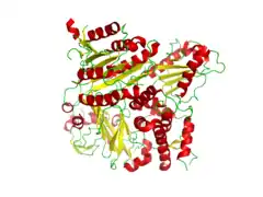 Conformation of the CopII protein complexed with the snare protein Bet1 (PDB: 1PCX​).