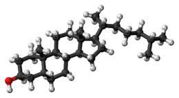 Ball-and-stick model of the coprostanol molecule
