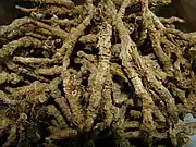 Rhizomes partly prepared for herbal medicines