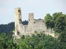 The Old Palace with a part of the Upper Bailey