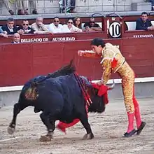 Tercio de muerte: El Matador pierces the heart of the bull with his sword.