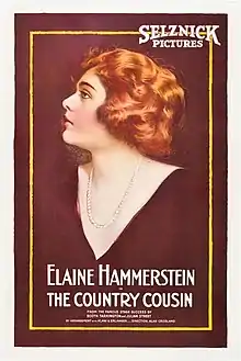 Poster for The Country Cousin (1919)