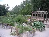 Project Grow Community Gardens