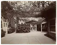 Interior courtyard of the casa de Rosas building. Black and White photograph. Plant material growing on walls of interior courtyard and partially covering the opening to the sky.