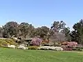 Cowra Japanese Garden Spring 2004