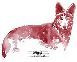 A watercolor painting of a coyote, realistic in every respect except that it is tinted purple