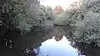 Pond in Cranham Brickfields
