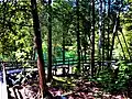 A boardwalk trail circles the lake