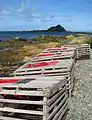 Empty craypots on Island Bay foreshore; Tapu Te Ranga Motu in background