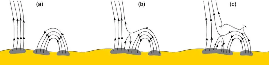 Close to the Sun, and especially above active regions, there are open and closed magnetic field lines. The closed lines are loops of magnetism that arch up into the solar atmosphere before curving round and disappearing back into the Sun.