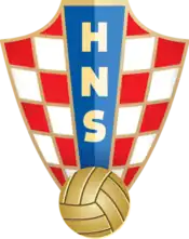 Shirt badge/Association crest