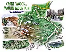 Crone Wood trails
