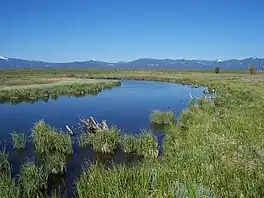 Oregon, Wood River