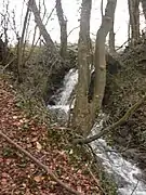 Waterfall next to the old mill on the Killeen Road